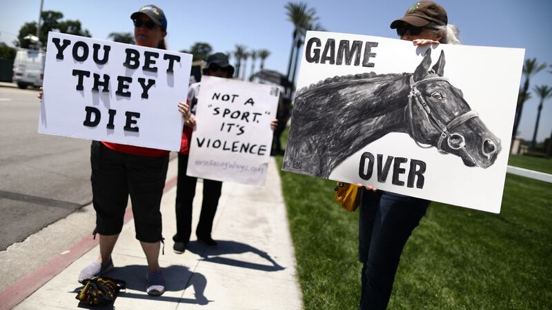 Animal rights activists protest outside Santa Anita Park on the final day of the season. Photograph: Mario Tama/Getty Images