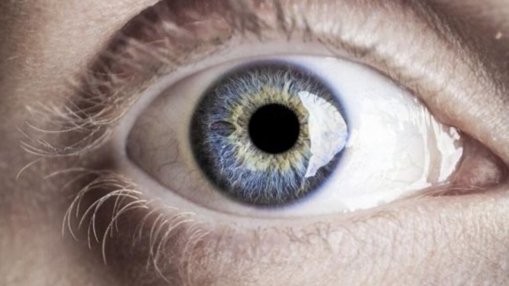 IHCA President Dr Donal O’Hanlon said: “Consultants are concerned that some patients will lose vision permanently and irreversibly as a result of the delays.” Photograph: Thinkstock