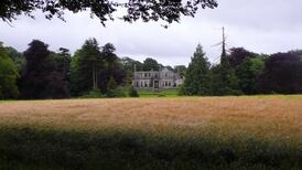 Murder in Kilkenny: When a man ate his mother’s face