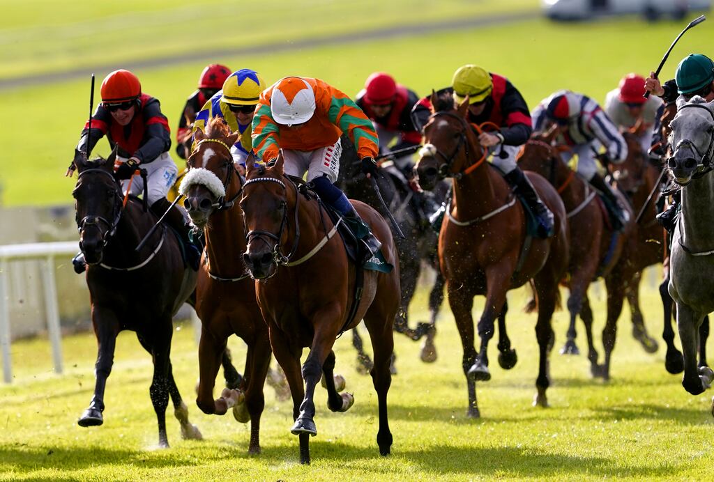 The industry wants the Oireachtas to amend the bill to exclude specialist channels such as Racing TV. Photograph: Brian Lawless/PA Wire
RESTRICTIONS: Use subject to restrictions. Editorial use only, no commercial use without prior consent from rights holder.