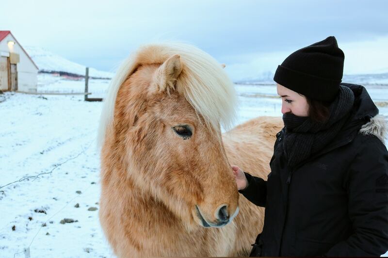 Lisa Coyle, Iceland: 'I never dreamt that I’d trade in my marketing job to make a life as a cow midwife of sorts.'