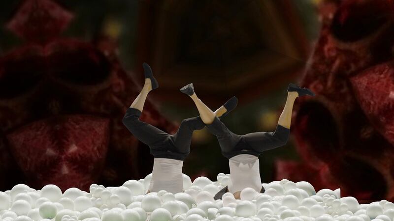 Alice Maher and Aideen Barry will be showing at this year's Galway International Arts Festival