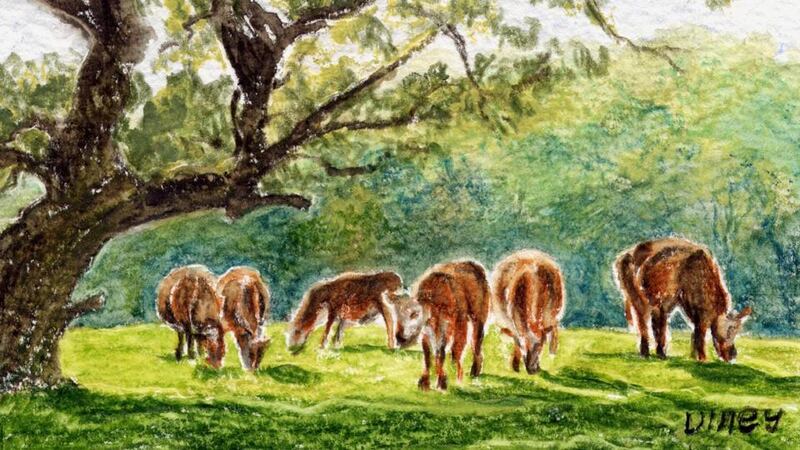 Carbon footprint: Ireland’s herd size is set to grow. Illustration: Michael Viney