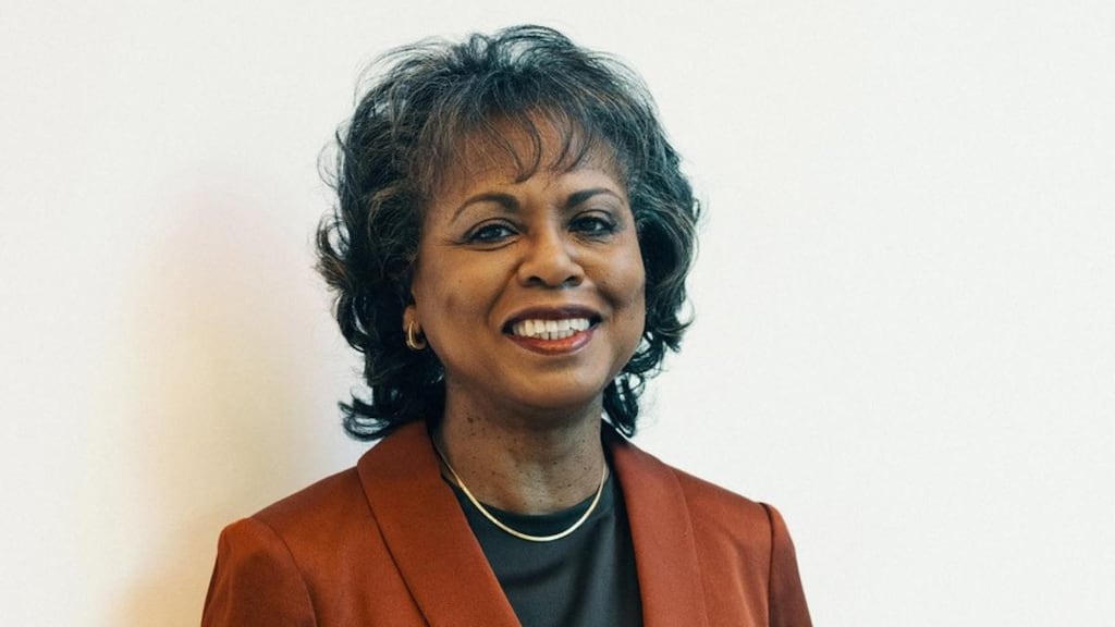 Anita Hill: ‘You cannot be defined by what others are calling your defeat. You have to define what you see as victory.’ Photograph: Amani Willett/New York Times