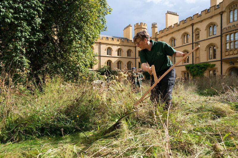 Using a scythe at the appropriate time of year to cut wildflowers in order to encourage ripe seed to disperse and germinate is the kindest to wildlife - as well as to your neighbours. Photograph: Joe Giddens/PA Wire