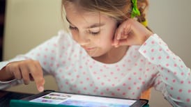 Internet safety should be taught in schools, Dáil committee told