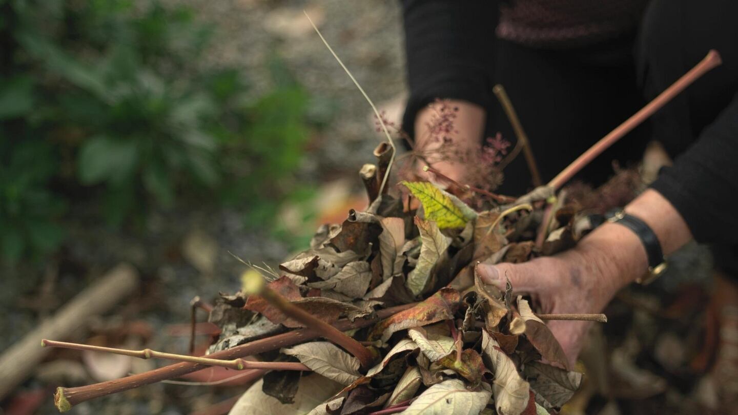 Collecting leaves in autumn. Photograph: Richard Johnston