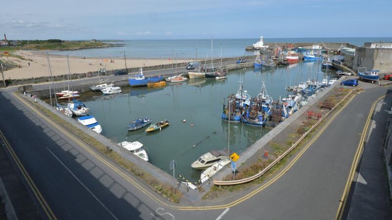 Aerial view of the harbour and beach in Balbriggan. Photograph: Alan Betson