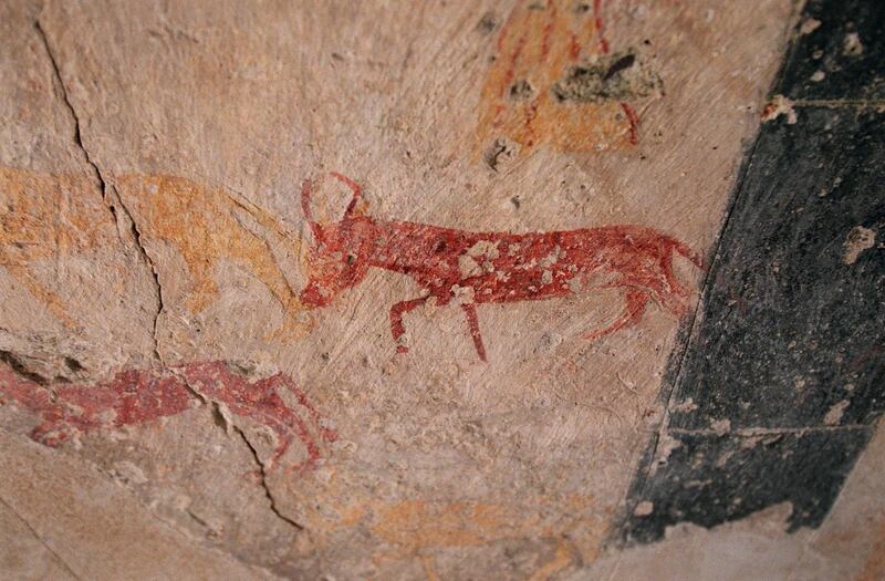 A close-up of one of the painted images on the ceiling on St Bridgets Church on Clare Island. Photograph: Dara MacDonaill