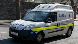 Woman accused of spitting on Garda allegedly claimed she had been tested for Covid-19