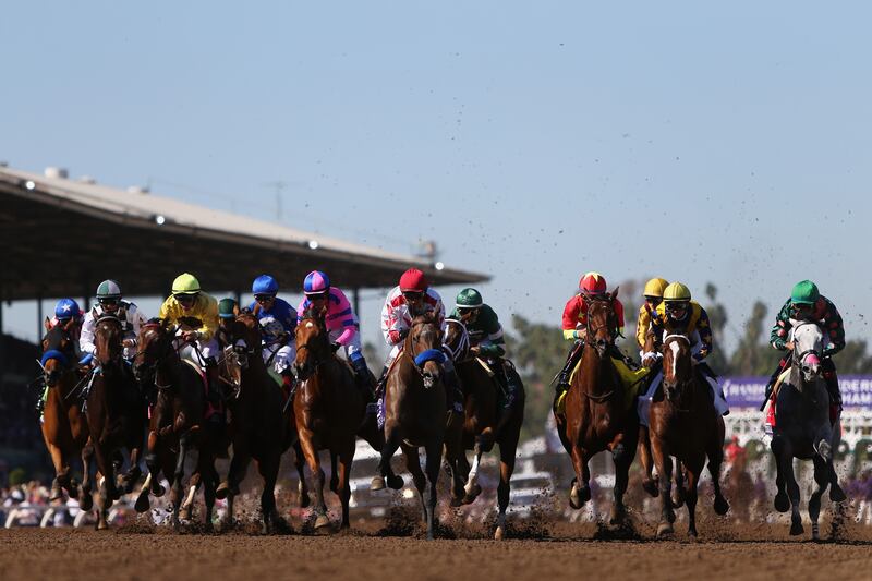 The potential threat of public focus on racing got underlined at the high-profile Santa Anita track in Los Angles in 2019 when 30 horses lost their lives. Photograph: Sean M. Haffey/Getty Images