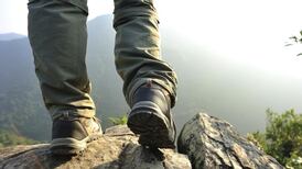 Michael Harding: Families discover each other as they get older