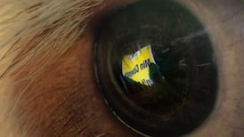 Agreement secured on CAP reform