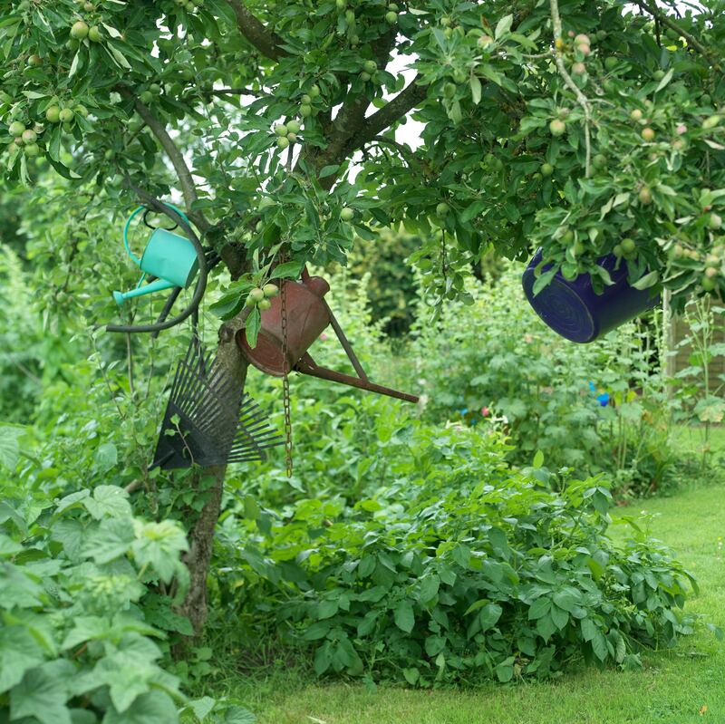 Watering cans hanging off a tree branch in Sheppard's garden. Photograph: Richard Johnston