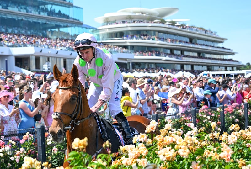 Ryan Moore and Vauban posted an unplaced finish in the Melbourne Cup. Photograph: Vince Caligiuri/Getty Images