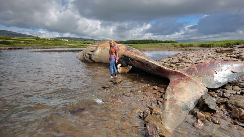 We know just a fraction of what there is to be known about the sea and what's in it, Fiacc believes. Pictured is a fin whale washed up at Baile Uí Chuill Strand, Ballinskelligs, Co Kerry just last year. Photograph: Valerie O'Sullivan