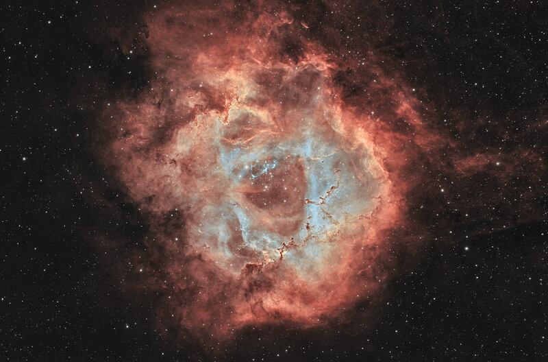 Traluca Dana Lica from Naas captured the Rosette Nebula, an emission nebula in the constellation of Monoceros. It is 5,200 light-years away from Earth and its radius is 65 light-years. The image was processed by Tom Dinneen.