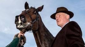 Irish raiders 6-1 to set new Cheltenham record of 20 winners or more