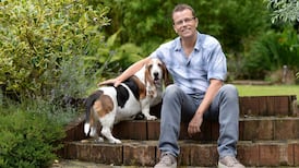 Me and my dog: ‘You be you and I’ll be your fool’