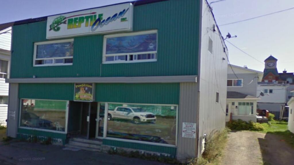 The incident took place at Reptile Ocean, Campbellton, New Brunswick. Image: Google Streetview