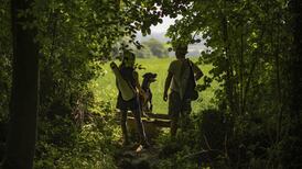 Dogs take the trip to Tipp, the glories of Northern bathtubs and other autumn sights