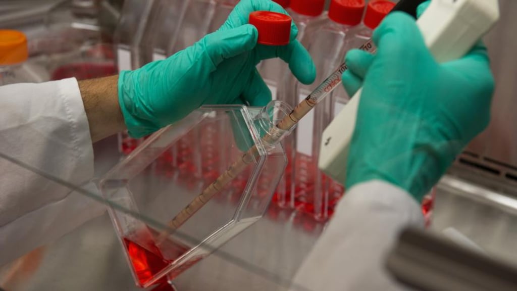 Scott McCauley, associate scientist at the Gilead Sciences, makes human proteins at the Gilead laboratory in Foster City, California. Photograph: David Paul Morris/Bloomberg