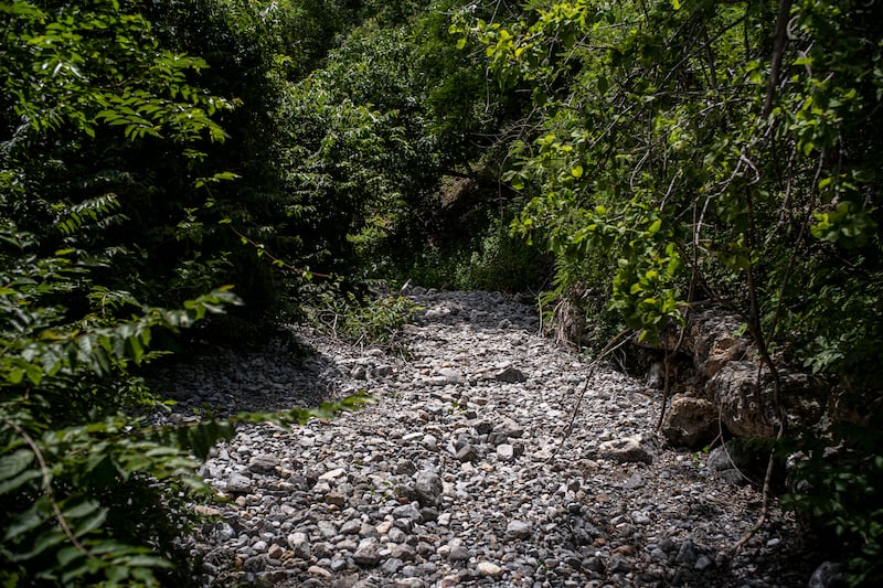 A canyon where remains of some of the 43 missing students were found in Cocula, Mexico, on September 21st, 2021. Photograph: Alejandro Cegarra/New York Times