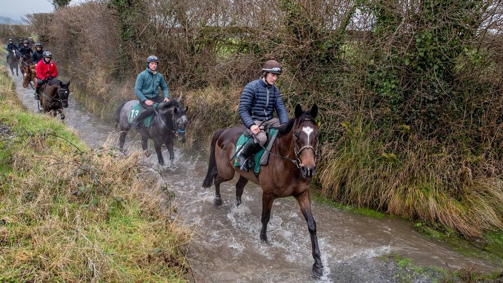 Willie Mullins puts his runners through their paces ahead of Dublin Racing Festival at Leopardsrown this weekend. Photo: Morgan Treacy/Inpho