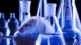 Inside the mouse house: animal testing in Irish labs