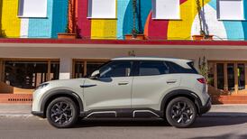 BYD pledges to work with rival Tesla to combat petrol cars