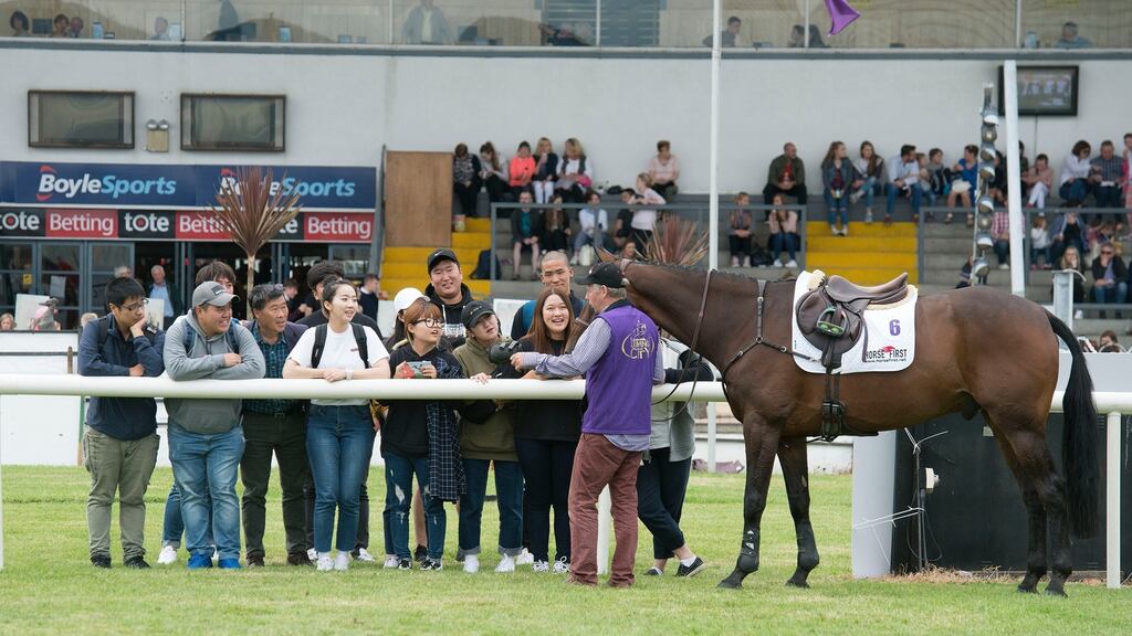 Prof Kabsu Kim from Cheju Halla University, Korea, with a group of 13 equestrian science  students, who are on a trip to Ireland to study the workings of the equestrian industry, pictured at a show jumping event in Shelbourne Park. Photograph: Dave Meehan