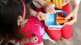 Mother’s appeal to be heard on extent of access to children