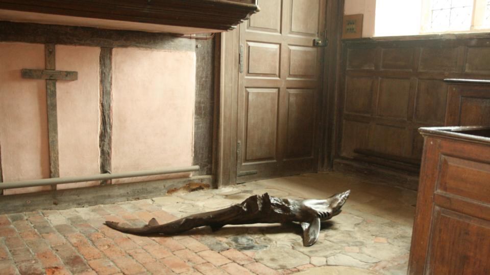 Everest Shark (2013)