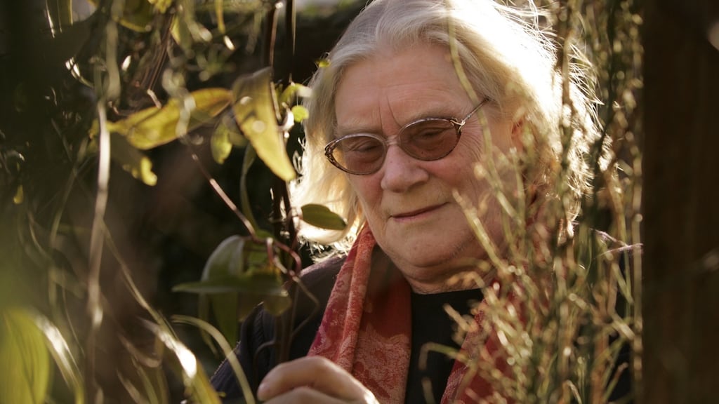 Jennifer Johnston: her characters typically live with little sense of agency, haunted by the actions of those who have gone before. Photograph: Dara Mac Dónaill