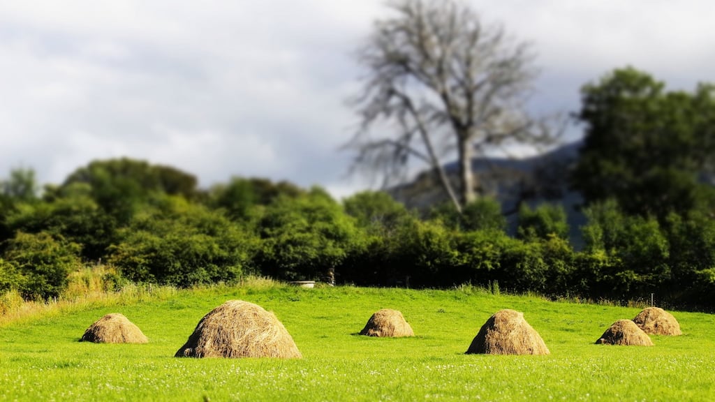 Making hay to pay the rent on the ‘priest’s field’