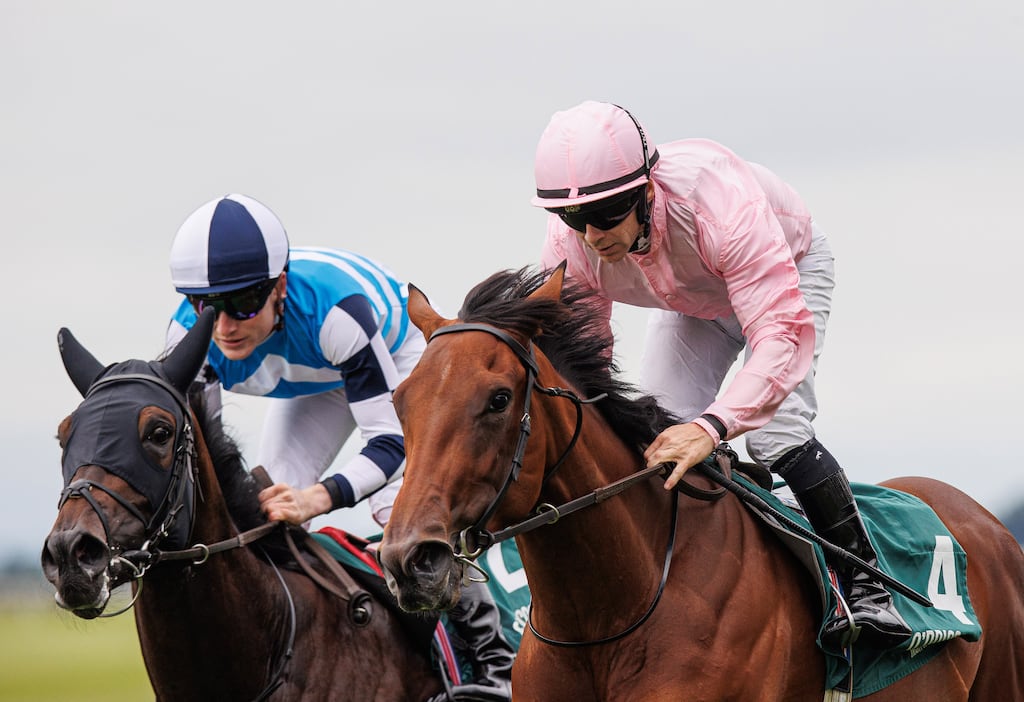 Composing (pink silks) is an outstanding talent for Aidan O'Brien and will take her chance in the Goffs Million. Photograph: Tom Maher/Inpho