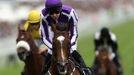 Ailing St Nicholas Abbey making slow  recovery