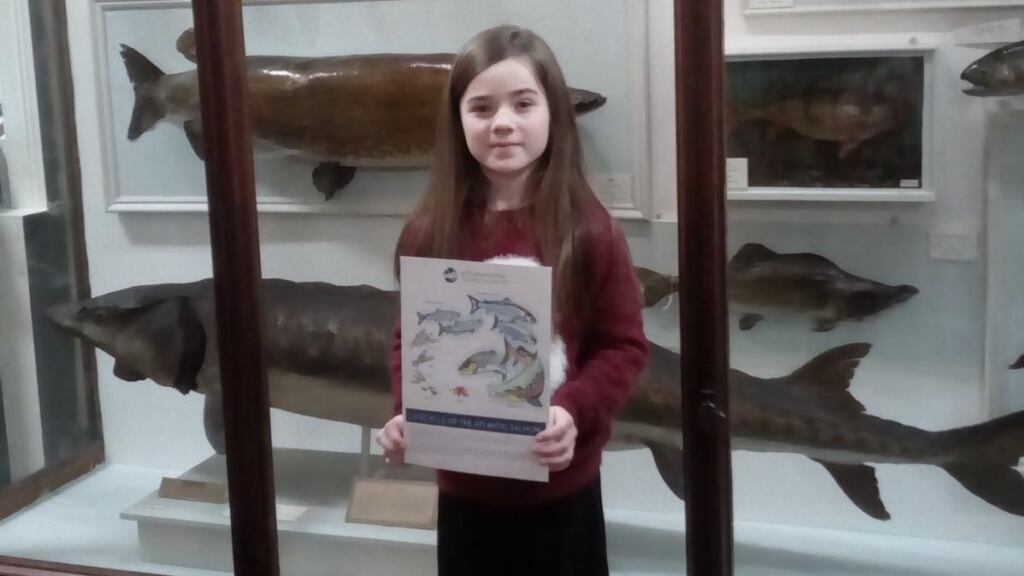 Maisy (8) from Lusk, Co Dublin, was the winner of the 8-11 category in the Salmon of Colour competition to mark International Year of the Salmon.