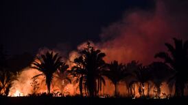 Could an ecocide law bring an end to environmental destruction?