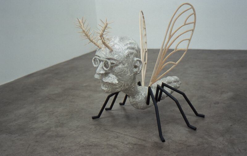 Mosquito Man Arthur, by Alan Phelan, from 2007. Photograph courtesy the artist/Dublin City University Collection