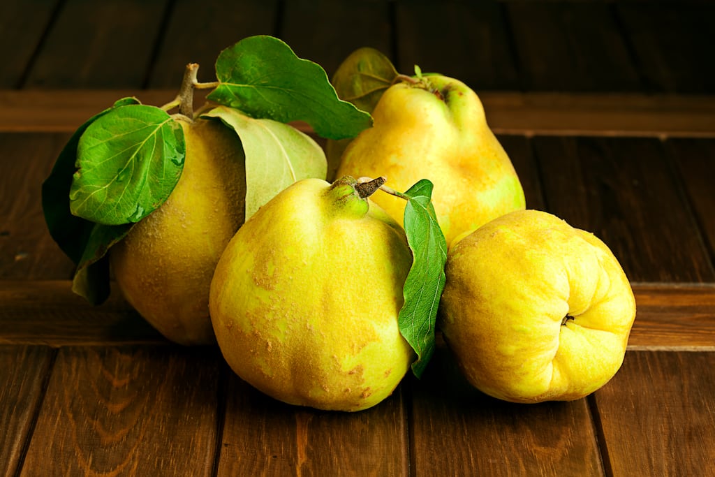 'Granted, quince is not an easy fruit to love. It looks like a pear carved by a caveman.' Photograph: iStock