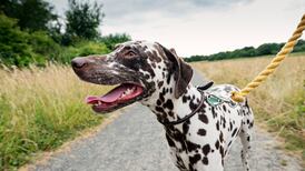 Updated guidance for public on ethical use of countryside includes dog control, accessing land and preventing fires