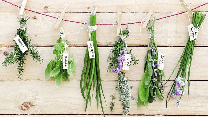 Culinaria: JP McMahon on tender is the herb garden