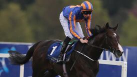 Battle Of Marengo takes derby trial at Leopardstown