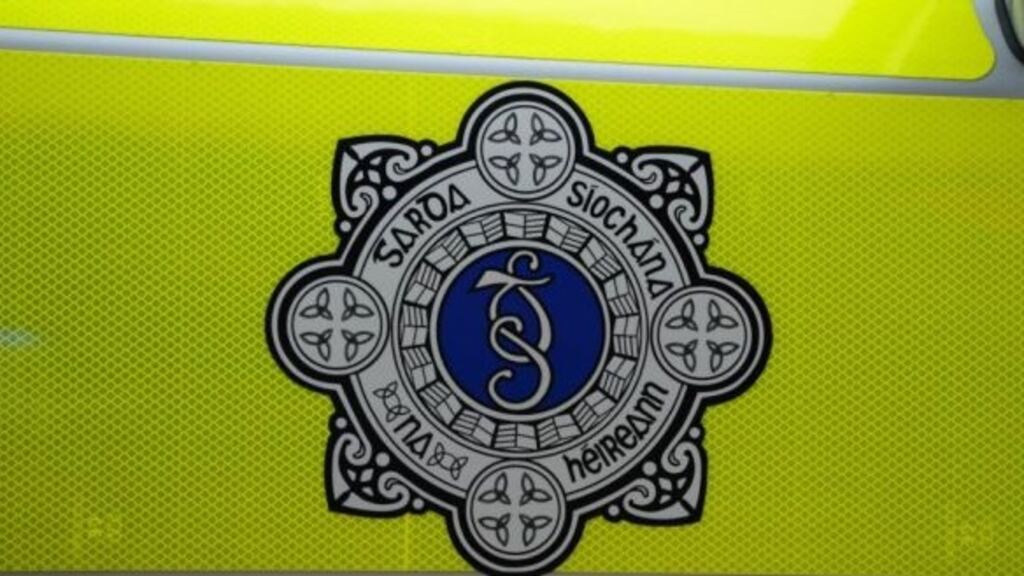 A man in his 30s was arrested during a Garda operation into organised crime in the eastern region.