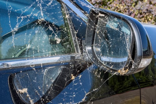 My car is old and disgusting, but I just don’t care. It gets me around