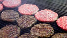 Lack of horse-meat scandal prosecutions dismaying, MPs complain