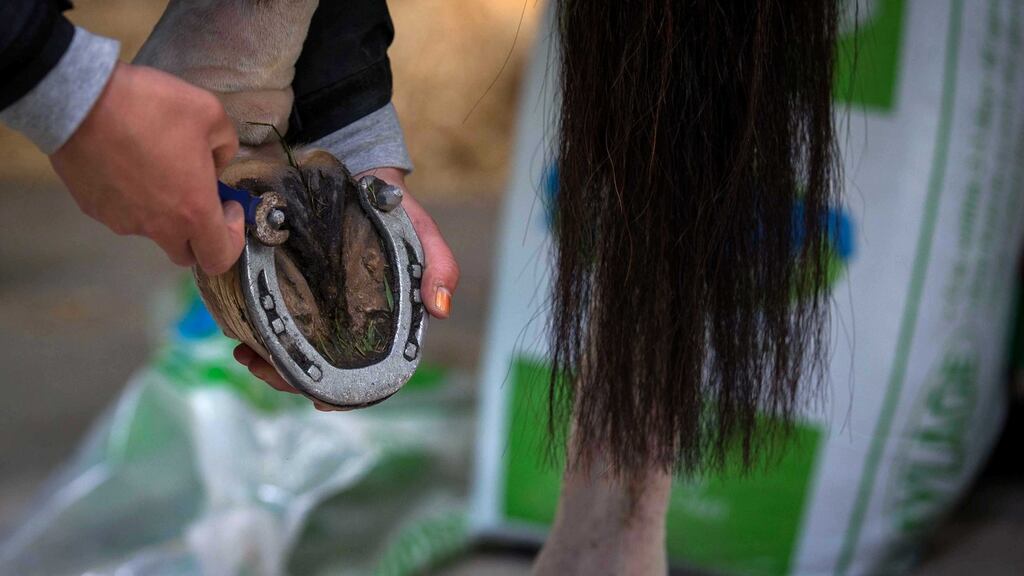 Tim Bourke had a good round at Saturday’s cross-country phase of the Rolex Kentucky four-star event. Photograph: Ryan Byrne/Inpho