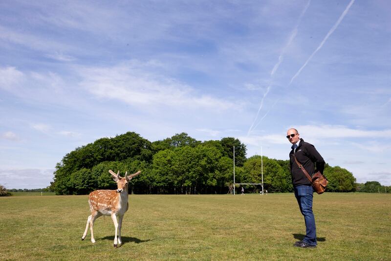 OPW guide Leif Barry with one of the Phoenix Park’s best known residents, a fallow deer. Photograph: Tom Honan/The Irish Times