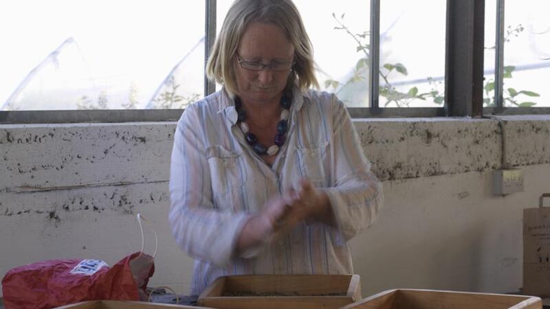 Madeleine McKeever of Brown Envelope Seeds preparing seeds grown and harvested on her organically certified farm in West Cork. Photograph: Richard Johnston